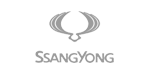 SSANG YONG